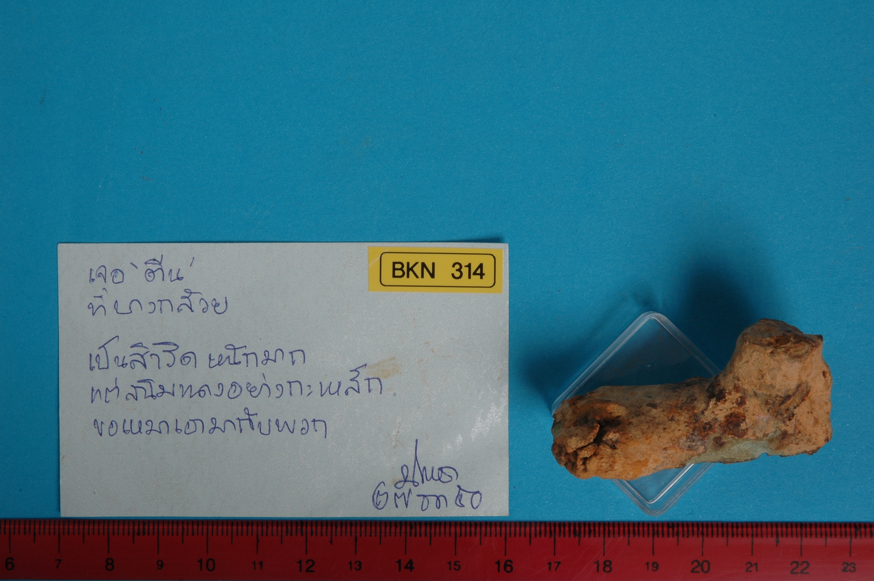 BKN 314.2.jpg